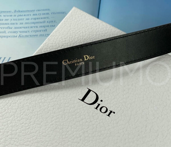 Christian Dior ремень PR929047 14