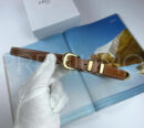 Celine ремень PR675983 11