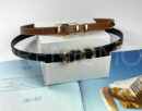 Celine ремень PR675983 18