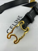 Celine ремень PR521185 11