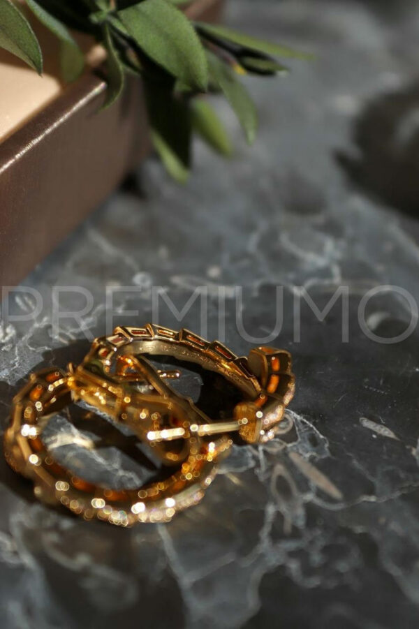 Bvlgari серьги PR667170 5