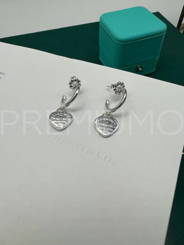 Tiffany & Co. серьги круглые PR849897 4