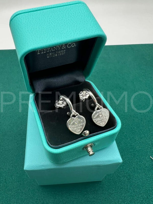 Tiffany & Co. серьги круглые PR849897