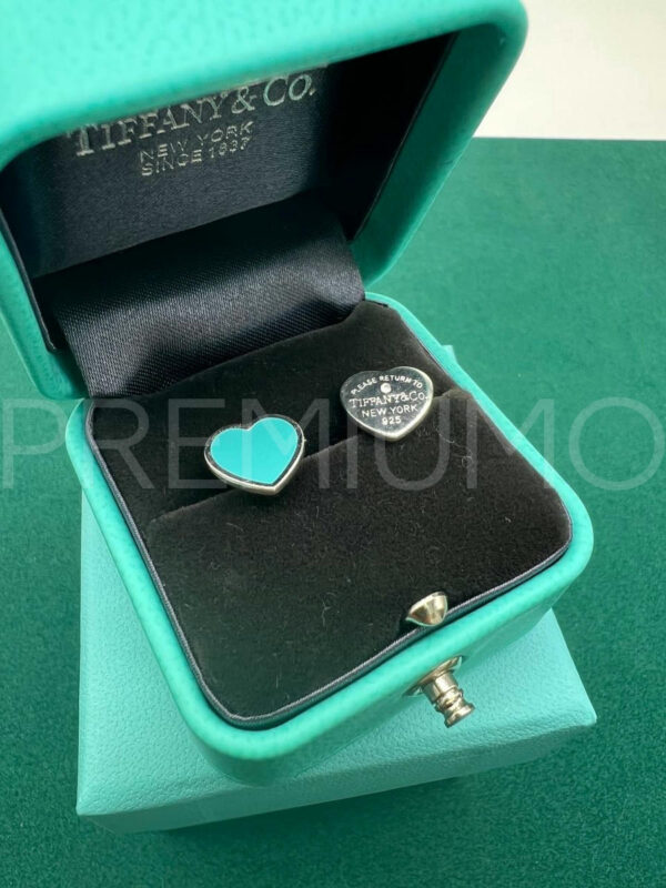 Tiffany & Co. серьги гвоздики PR395190 2