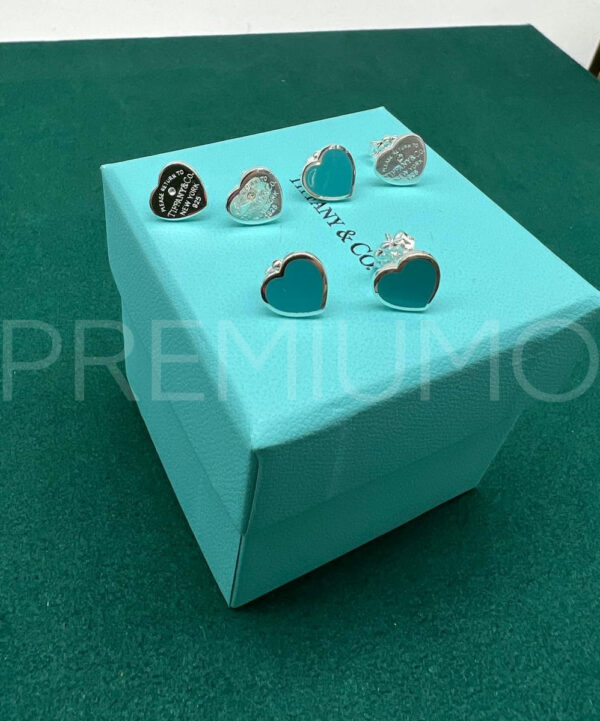 Tiffany & Co. серьги гвоздики PR395190 5