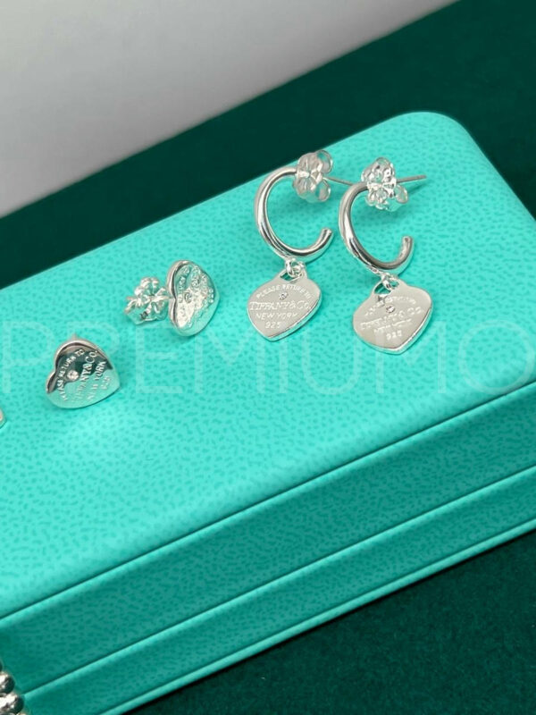 Tiffany & Co. серьги круглые PR849897 3