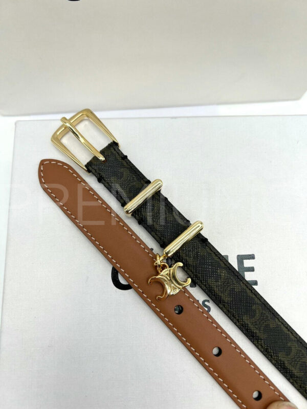 Celine ремень PR906738 3