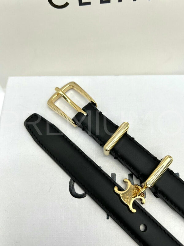 Celine ремень PR216241 5