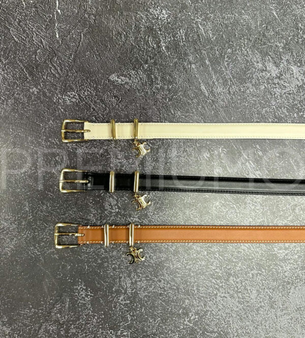 Celine ремень PR670932 5