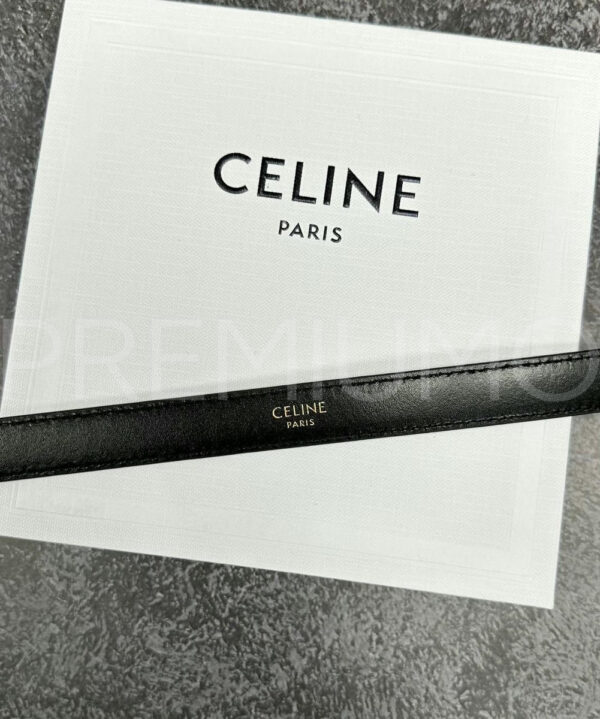 Celine ремень PR520244 4