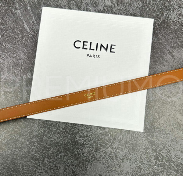 Celine ремень PR289089 5