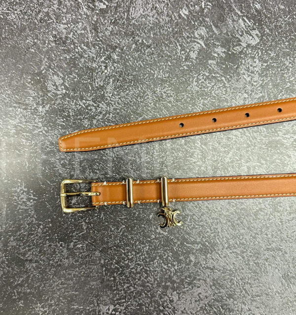 Celine ремень PR289089 4
