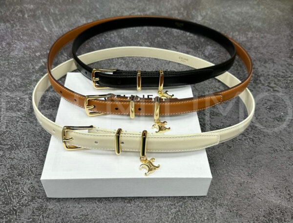 Celine ремень PR289089 6