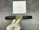 Christian Dior ремень PR929047 16