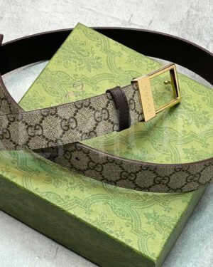 Gucci ремень PR609508