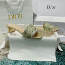 Christian Dior сабы PR334334 11