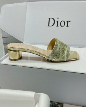 Christian Dior сабы PR334334