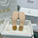 Christian Dior сабы PR334334 18