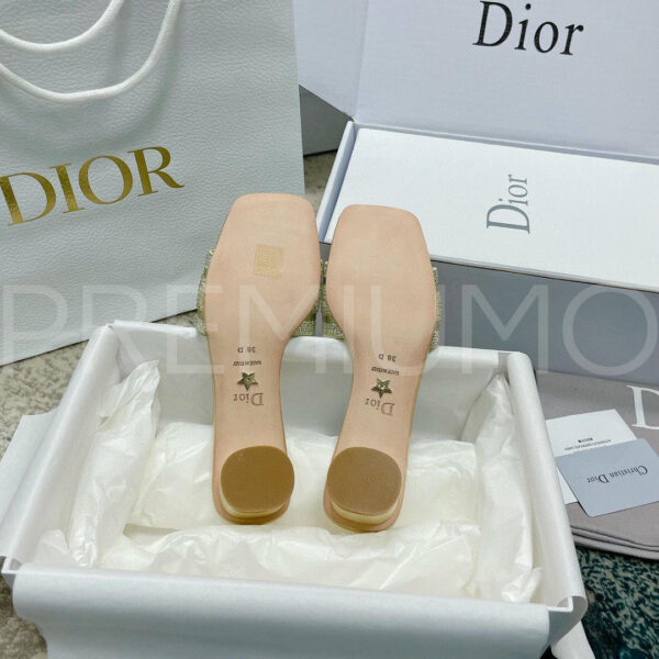 Christian Dior сабы PR334334 9