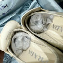Prada лоферы PR367140 16