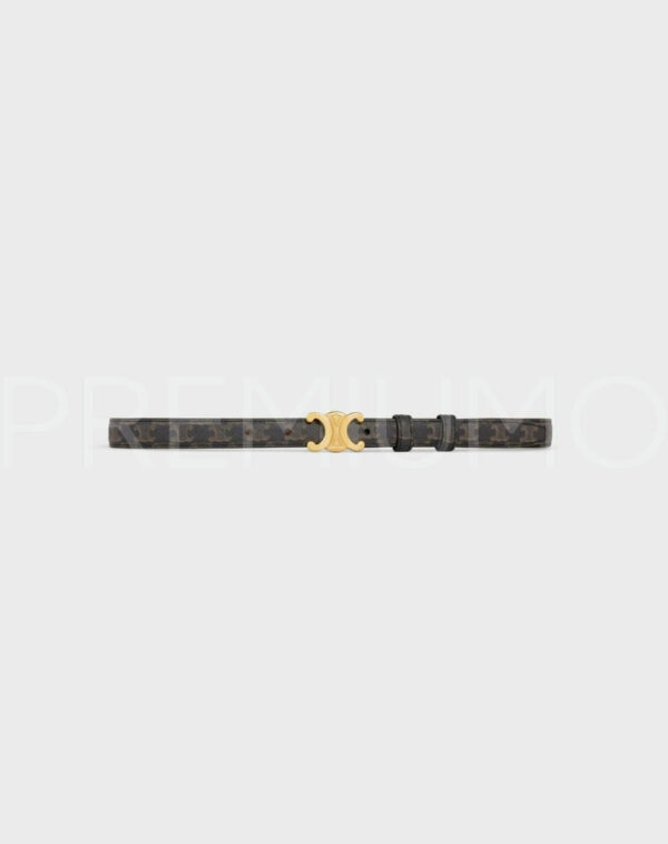 Celine ремень PR337888 6