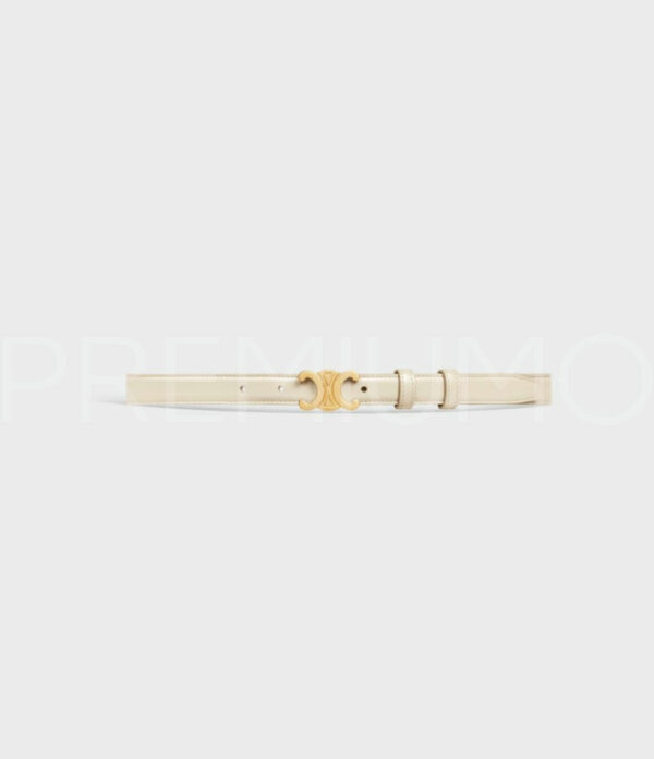 Celine ремень PR476307 6