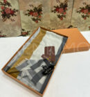 Loro Piana платок PR299535 7