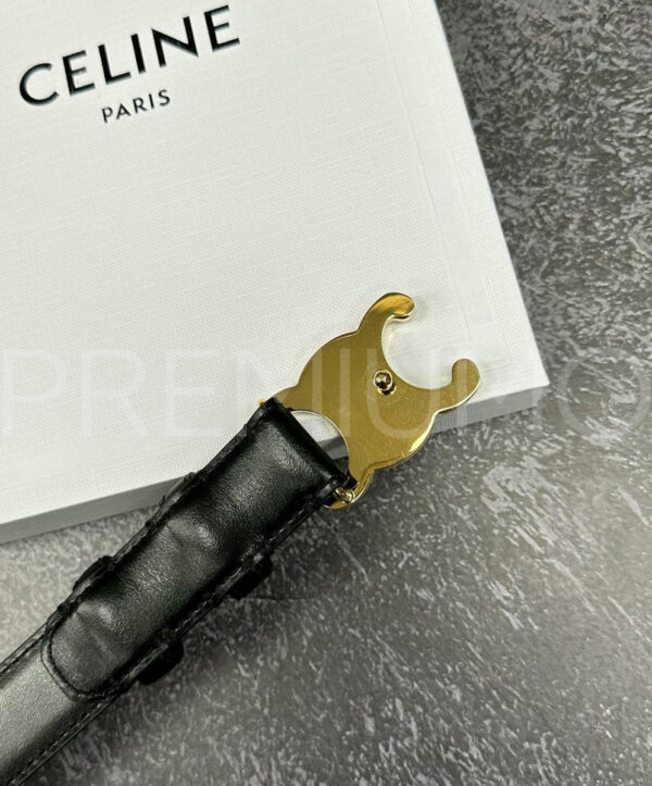 Celine ремень PR432224 17