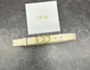 Christian Dior ремень PR457769 9