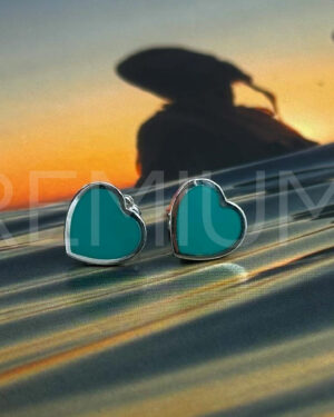 Tiffany & Co. серьги PR889574
