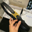 Celine ремень PR252523 9