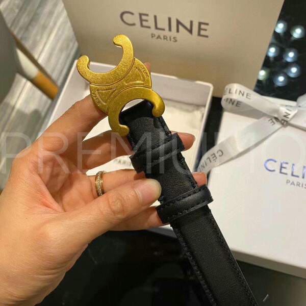 Celine ремень PR252523 4