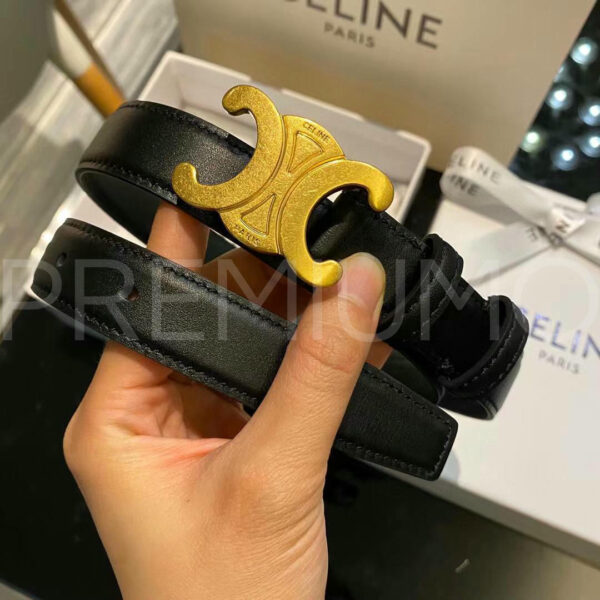 Celine ремень PR252523 5