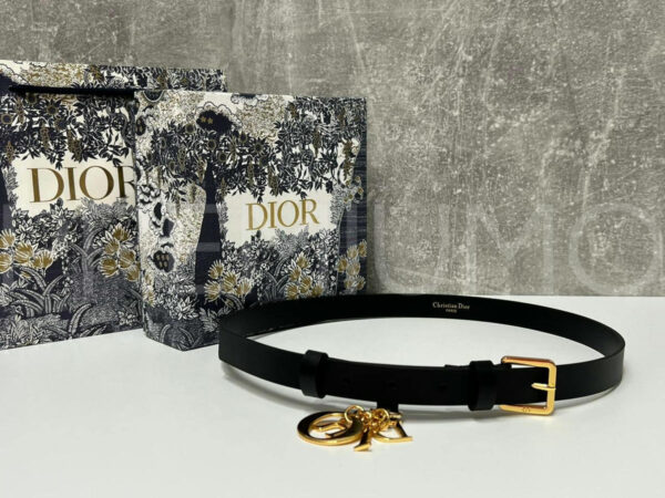 Christian Dior ремень ( ) PR664566 2